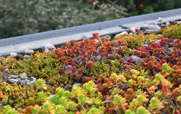 the cost of Gosbeck green roof installation