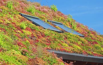 Gosbeck living roof systems