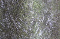 Gosbeck fibreglass roof work